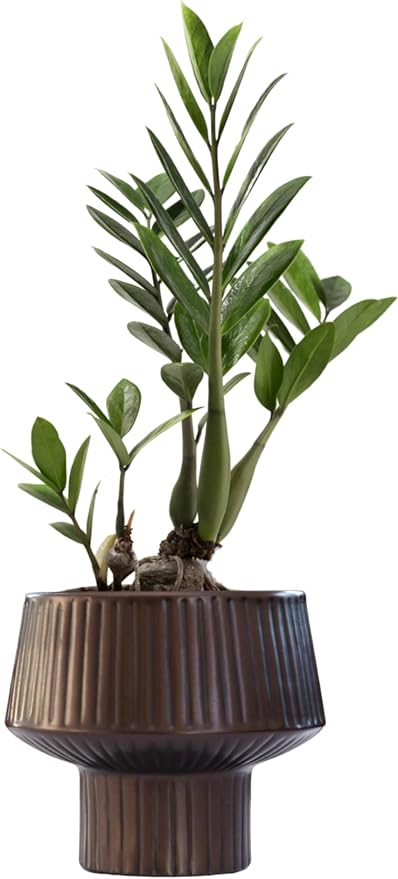 Wide Top Modern Handmade Metal Indoor Planter with Unique Shape, Vertical Grooved Design and Anti-Scratch Pads, Rust-Resistant Finish that is Sustainable Non-Plastic Pot Recyclable Metal Vase (Copper)