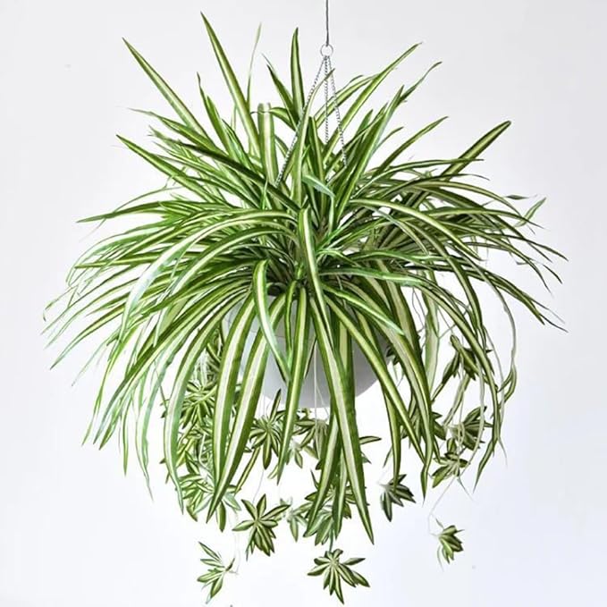 3 Packs Artificial Spider Plant, Silk Faux Chlorophytum Comosum Fake Spider Hanging Plant Decor for Outdoor Indoor Home Garden Office Decoration