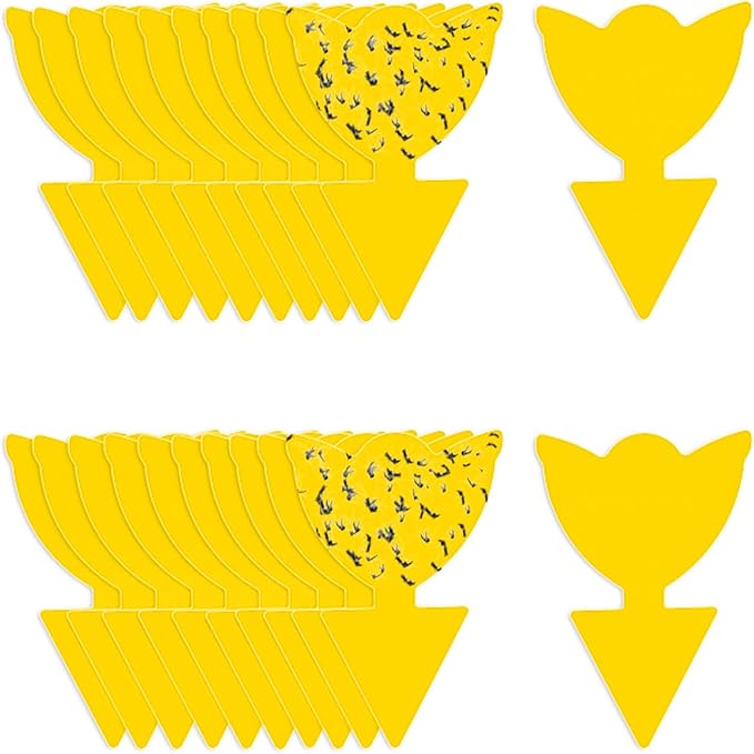 Fruit Fly Traps for Indoors Sticky, Gnat Traps for House Indoor Plants, Fungus Gnat Sticky Trap, 20pcs, Non-Toxic, Odorless, Harmless to Vegetables, Fruits, Plants