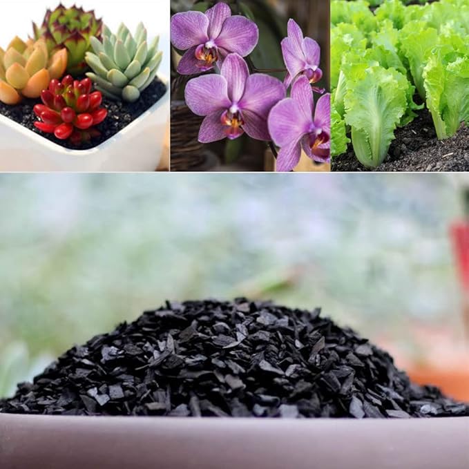 Doter Horticultural Charcoal for Plants 4 qt, All Natural Hardwood Charcoal, Activated Charcoal for Soil Amendment, Orchids, Terrariums, and Gardening