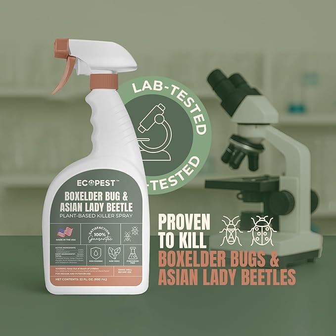 Boxelder Bug & Asian Lady Beetle Spray – Natural, Plant-Based Indoor & Outdoor Killer | Non-Staining, Safe for Doors, Windows, Siding & Baseboards | Child & Pet Safe, Low Odor, Eco-Friendly (1 Gallon)