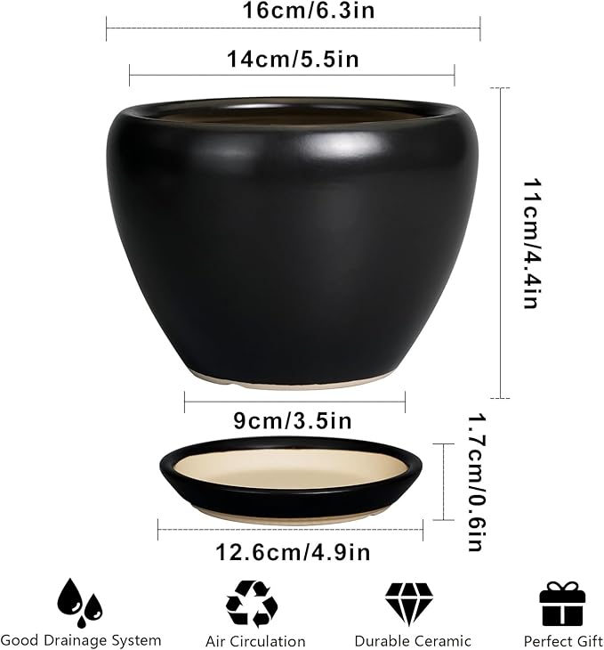 Ceramicfor Ceramic Planter Pot - 6 Inch Plant Pot with Drainage Hole and Saucer Round Planter for Indoor Plants Outdoor Succulent Pot Modern Flower Pot for Home Decor Black