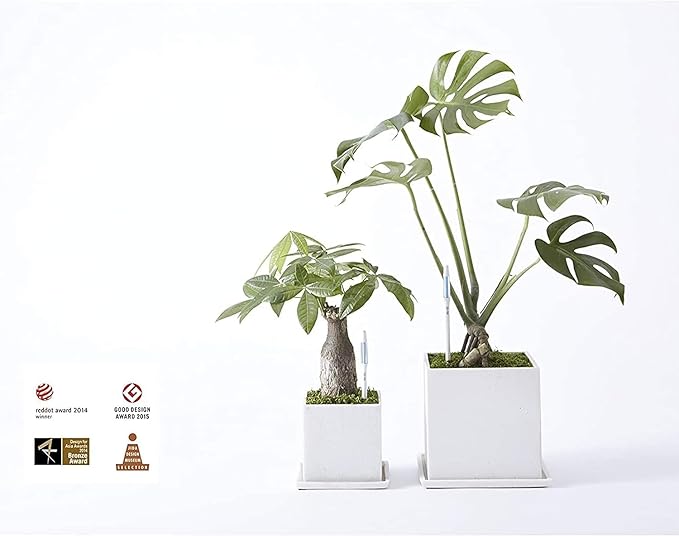 IPPINKA Sustee Aquameter, Bundle of 36, House Plant Soil Moisture Meter, Best for Indoor Potted Plants - Large Green Refillable