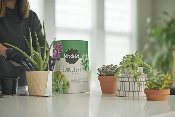 Miracle-Gro Succulent Potting Mix - Potting Soil Mix for Indoor Succulents, Aloe Vera and More, Made with Miracle-Gro Plant Food, 4 qt. (2-pack)