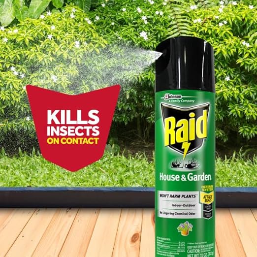 Raid House & Garden Bug Killer Aerosol Kills Bugs on Contact Won’t Harm Plants Indoor and Outdoor Use 11 Ounce (Pack of 1)