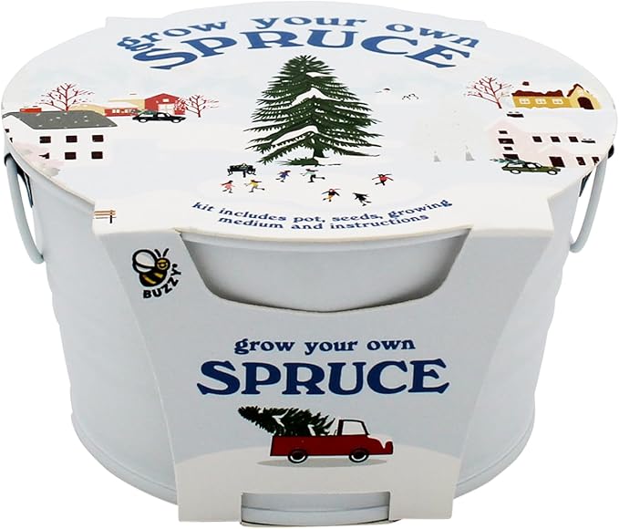 BUZZY Seeds Grow Your Own Christmas Tree Kit, Spruce Seed Starter Mini Basin in White with Coconut Husk Growing Medium, and Easy Instructions. DIY Gardening Gift, Stocking Stuffers for Nature Lovers