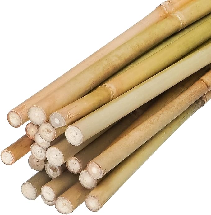 4.8ft Natural Bamboo Plant Stakes 20pcs for Tomatoes, Beans, Flowers, Potted, Climbing Plants
