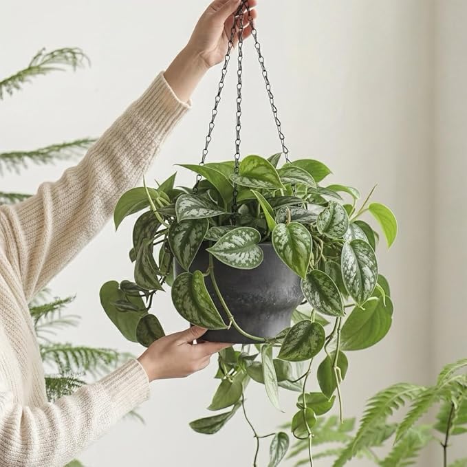 Bamworld Hanging Planters for Indoor Plants 9 Inch Plant Hanger Indoor Hanging Baskets for Plants Outdoor Hanging Plant Pot with Removable Drain Hole Hanging Plant Holder for Garden Home Porch Decor