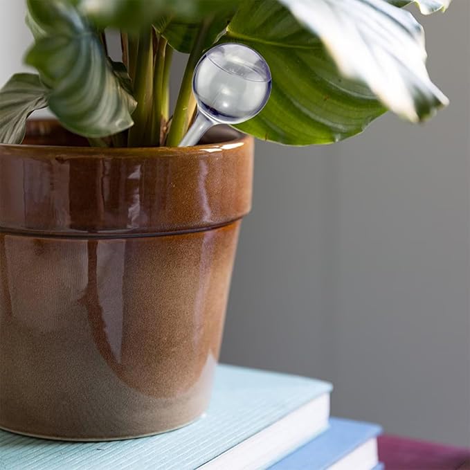 Self Watering Globes for Plants - Automatic Watering Bulbs for Indoor & Outdoor Potted Plants, Vacation Plant Care, Water Conservation Device