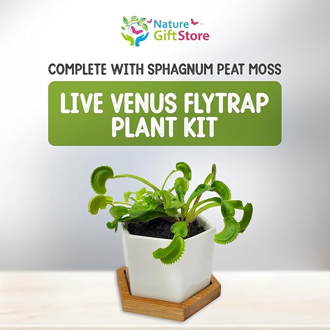 Venus Fly Trap Live Plant with 2.7" Modern White Hexagonal Ceramic Pot with Saucer + Venus Fly Trap Food, Feeding Tweezers, Carnivorous Plants Soil and Live Venus Flytrap