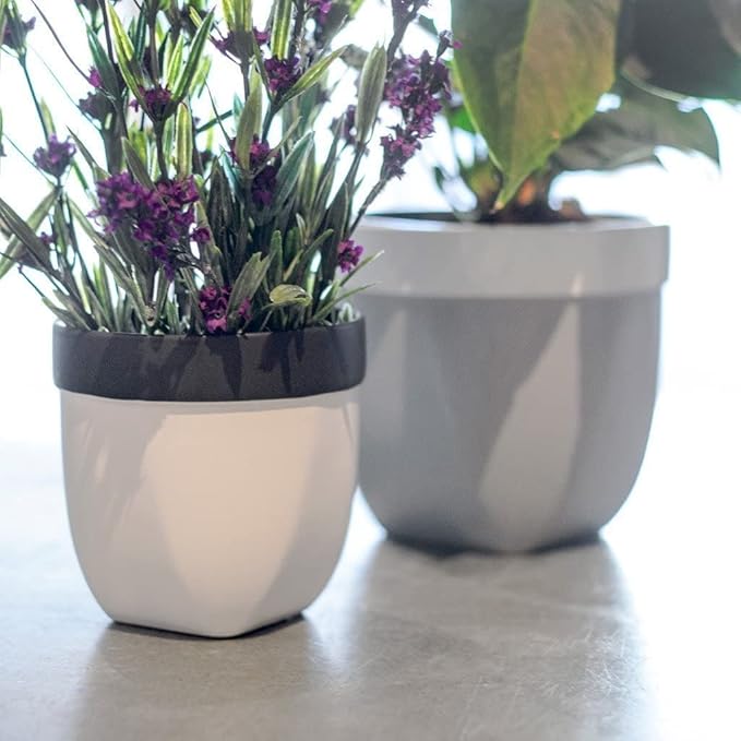 Hosley Set of 2 Grower Versa Pot Black 5" Dia x 4.75" H Ideal Gift for Floral Arrangements Wedding Party Home Decor Office Spa Settings O9