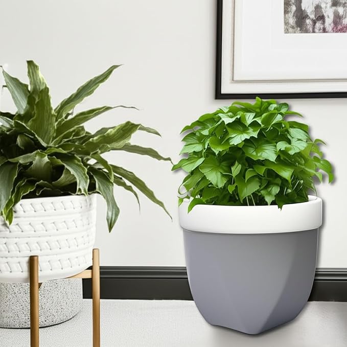 Hosley Grower Versa Pot Planter, 5.9 Inch - Perfect for Home Decor, Kitchen Decor & Planters for Outdoor Plants, Ideal for Office, Weddings, Floral Arrangements & Spa Settings