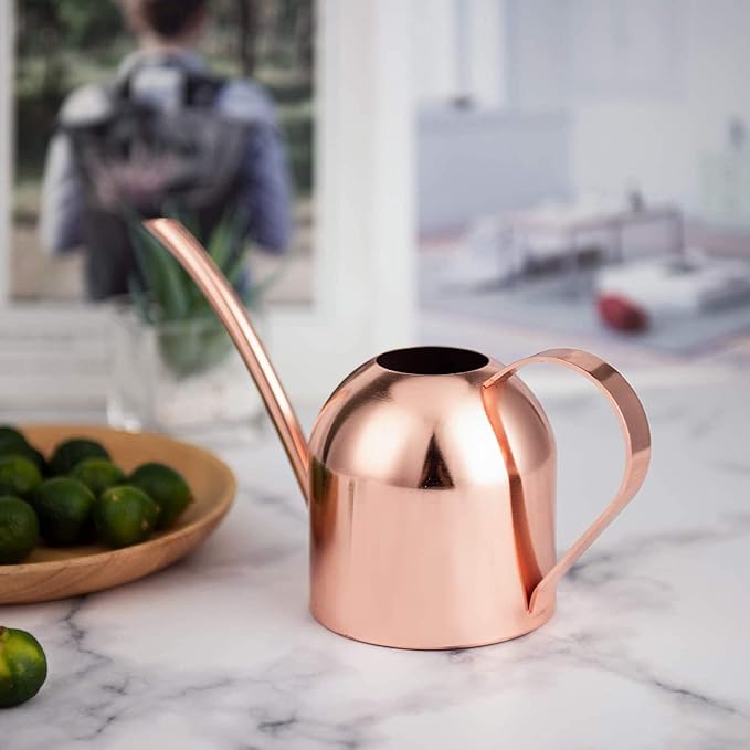 IMEEA Mini Indoor Watering Can for Small Plants, Stainless Steel with Long Spout, 15oz/450ml – Perfect for Desk, Windowsill & Bonsai