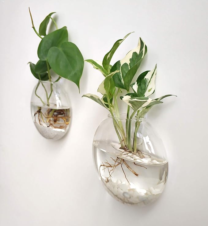 Mkono Wall Hanging Planter Propagation Station Glass Flower Vase for Hydroponics Plants, Bathroom, Home Office Living Room Decor Gift, Oblate Set of 3