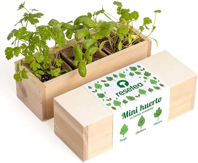 Mini Herb Garden