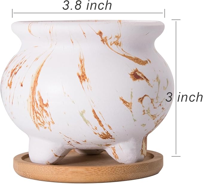 ARTKETTY Succulent Pots - 3.8 Inch Marble Plant Pot with Drainage Trays Set of 6, Small Ceramic Pots for Indoor Cactus Flower Plants Decorative Garden Home Office