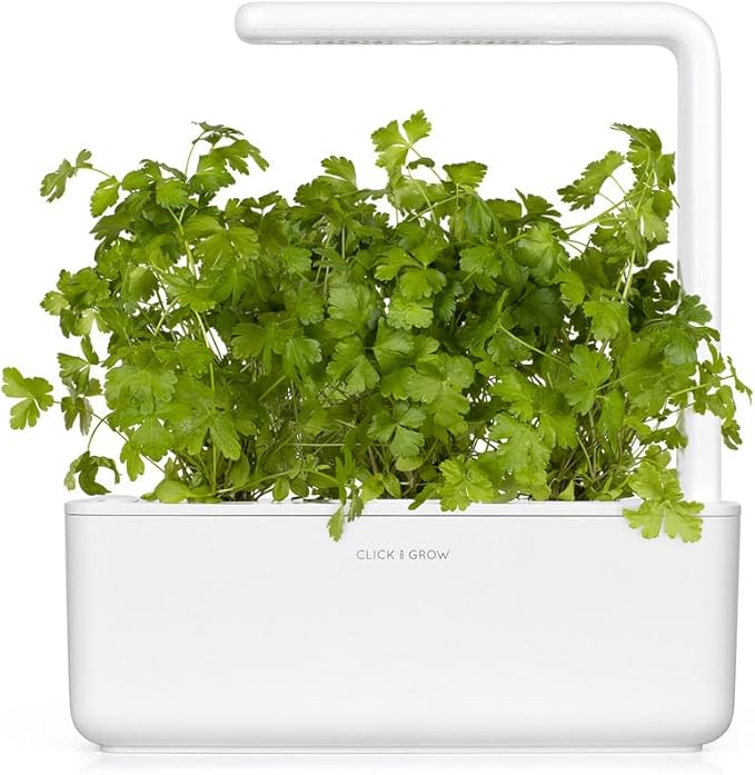 Click and Grow Smart Garden Plain Parsley Plant Pod (3-Pack)