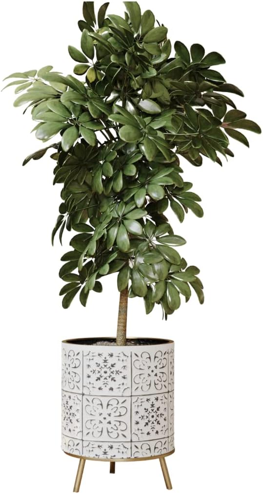 EverNest Tristan Neutral Minimal White and Black Modern Style Planter with Nyra Stand, SelectBase Plant Pots, Indoor Planter, Boho Home Decor, Minimalist Pot for Plants (Small, Gold)