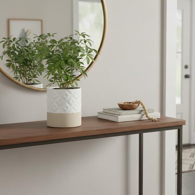 Nihow Self Watering Plant Pot for Indoor Plants: 6 Inch Ceramic Planter with Drainage Hole & Water Storage Plus - Cylinder Flower Pot with Wick for Herbs - Matte White & Brown Star