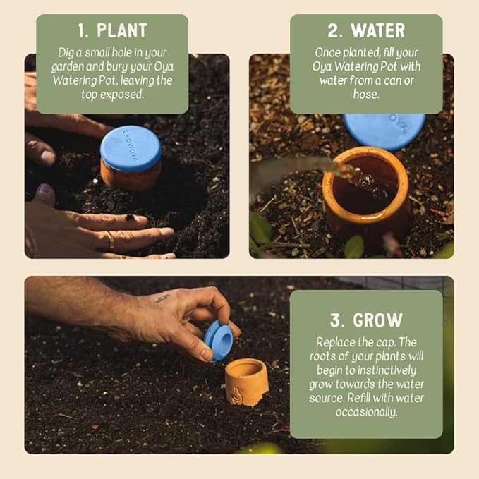 Growoya Garden OYA Small Watering Pot Plant Irrigation System Sustainable Traditional Olla Watering Smart Underground Watering Available for Garden Beds Raised Beds and Grow Bags