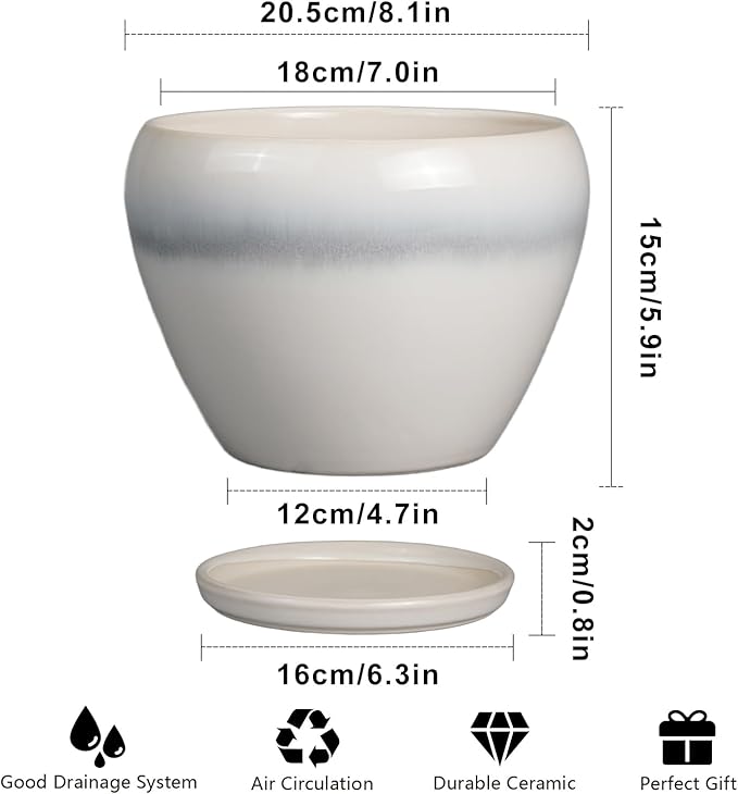 Ceramicfor Ceramic Planter - 8 Inch Plant Pot with Drainage Hole and Saucer, Glaze Round Flower Pot for Home Garden Patio Office, White