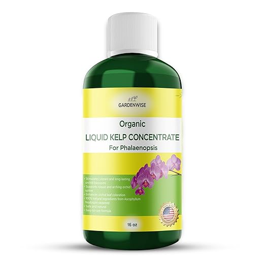 GARDENWISE Organic Premium Kelp Seaweed Concentrate: Fertilizer for Phalaenopsis Orchids – Liquid Plant Fertilizer – Orchid Bloom Booster – Seaweed Extract for Plants (16 OZ)