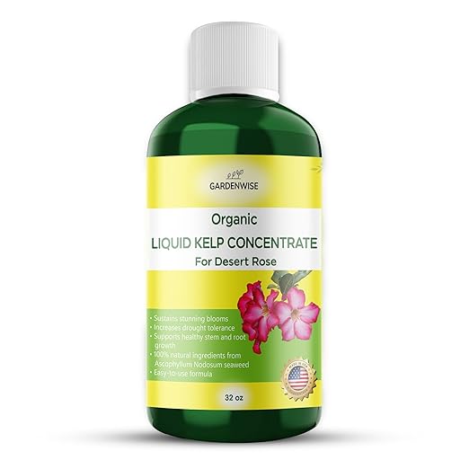 GARDENWISE Liquid Kelp Fertilizer for Desert Rose - Plant Food for Adenium & Desert Plants - Organic Seaweed Fertilizer for Robust Growth and Blooms (32 OZ)