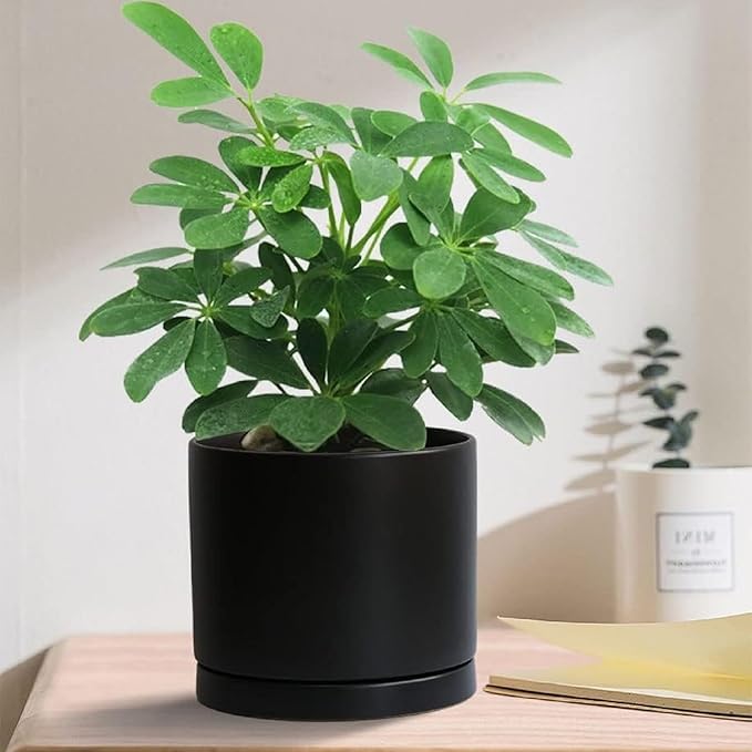 Yukfona Ceramic Plant Saucer Pot Tray 2 pack-12 Inch, Planter Saucers 4 5 6 7 8 9 10 11 12 Inch for Indoors Outdoor, Durable Sturdy Flower Drainage Tray for Glazed Pots Base (12.5 Inch-2-Black)