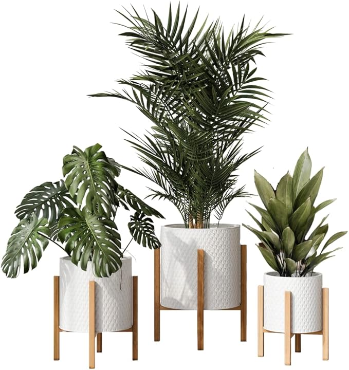 EverNest Claire Minimalist White Plant Pot with Kinsley Wood Stand, Indoor Mid-Century Planter, SelectBase, Modern Plant Holder, Boho Style Home Décor Pots (Set of 3)