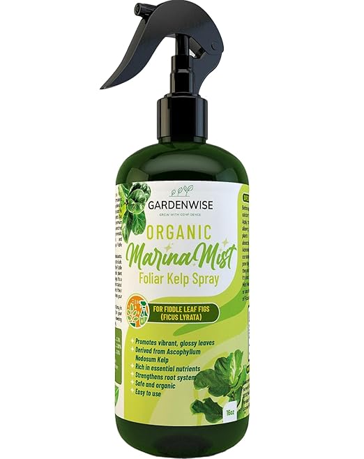 GARDENWISE Organic Marina Mist Foliar Spray for Fiddle Leaf Fig and Other Ficus Trees | Micro Nutrients for Vital Health | Gentle Formula | Liquid Plant Food | Quick Results | Ready to Use (16 OZ)
