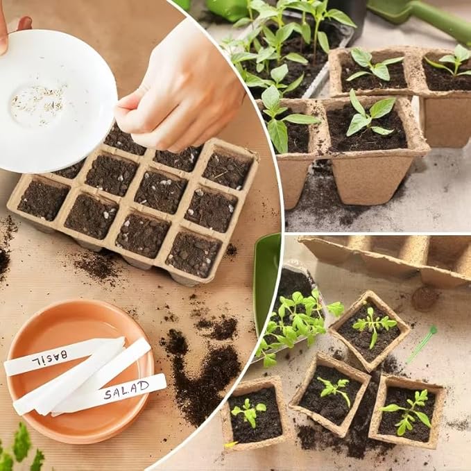 240 Cells Seed Thickened 12-Cell Peat Pots Seed Starter Kit - 20 Trays + Transplanting Tools & Plant Labels, Biodegradable Root-Friendly Seedling Cups for Vegetables Flowers Herbs Seed Starting