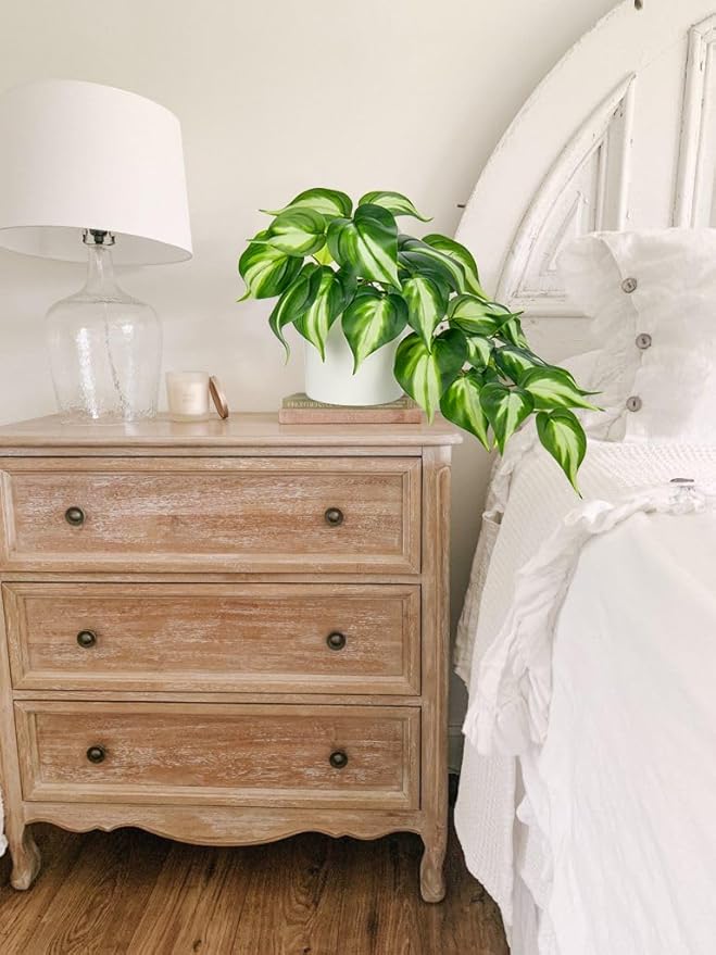 Hollyone Artificial Plants Potted Fake Plants in White Ceramic Pot Faux Pothos Plants Indoor for Home Living Room Shelf Office Aesthetic Decor