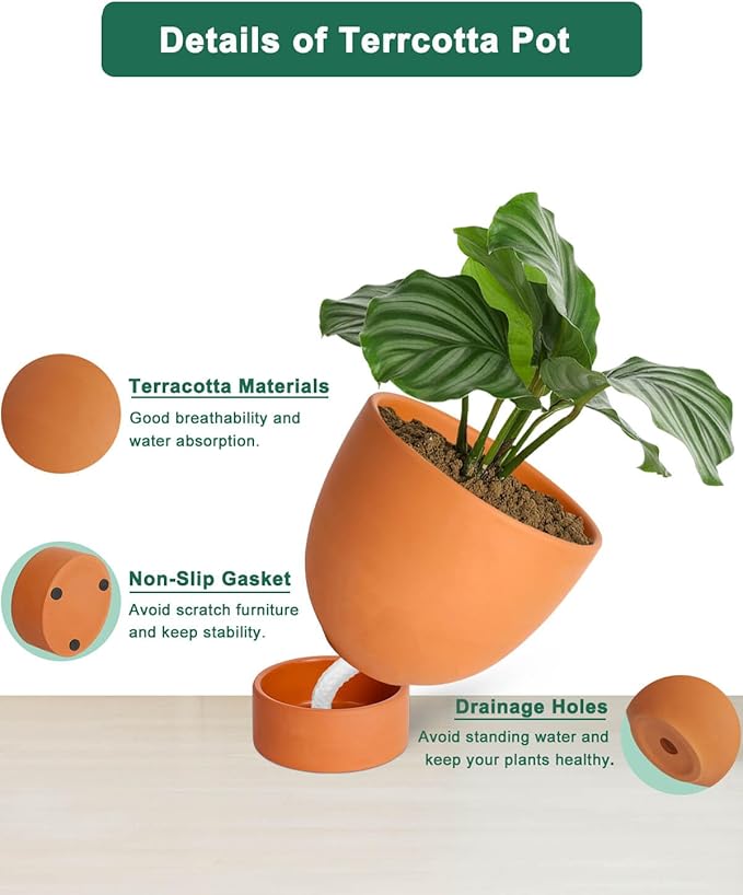 vensovo Terracotta Self Watering Plant Pot - 2 PCS 6 Inch & 8 Inch Terra Cotta Plant Pot with Drainage Hole and Saucer, Small & Large Clay Flower Pot with Tray, Planter for Indoor Outdoor