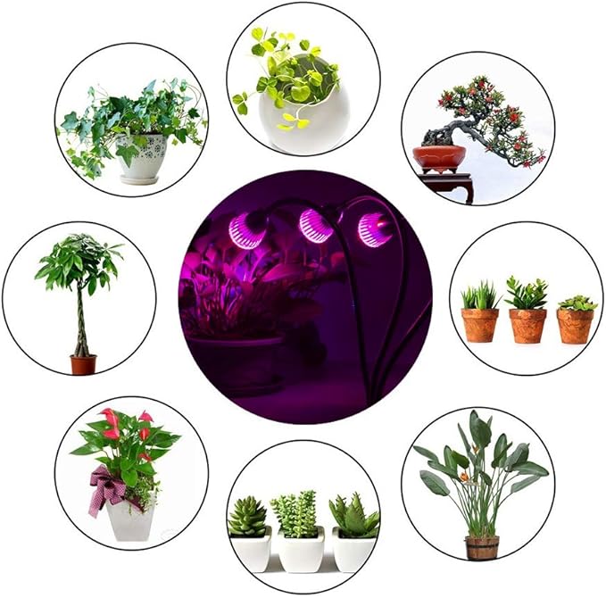 CFGROW Small Led Grow Light, Desk Clip LED Plant Grow Lamp 21W with 3pcs 360° Flexible Goosenecks for Indoor Office Home Garden Greenhouse Table Plants Growing Lighting