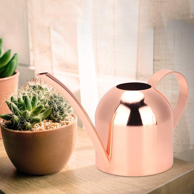 Watering Can, Stainless Steel Watering Pot with Long Spout Mini Houseplant Potted Plants Sprinkling Water Kettle for Indoor Outdoor Succulent Bonsai Garden Flower Gift Decoration 500ml(Rose Gold)