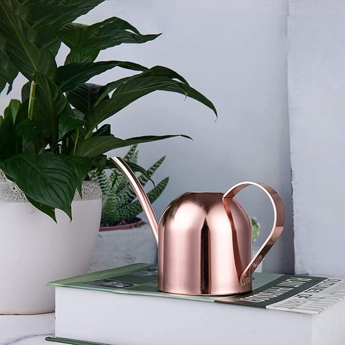 IMEEA Mini Indoor Watering Can for Small Plants, Stainless Steel with Long Spout, 15oz/450ml – Perfect for Desk, Windowsill & Bonsai