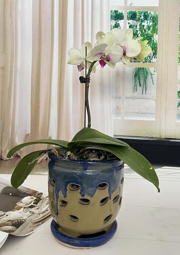 Large 6inch Ceramic Orchid pots with Holes, Flower Pot with Saucer for Indoor Plants Home Decorative, Round Planter (Blue+Light Brown)