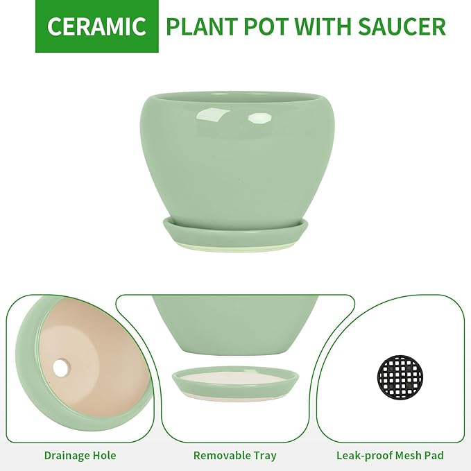 Deep Dream 6 Inch Plant Pots- Ceramic Planter Pot with Drainage Hole and Saucer, Round Flower Pot for Indoor Outdoor Succulent, Snake Plants and Cactus, Mint Green