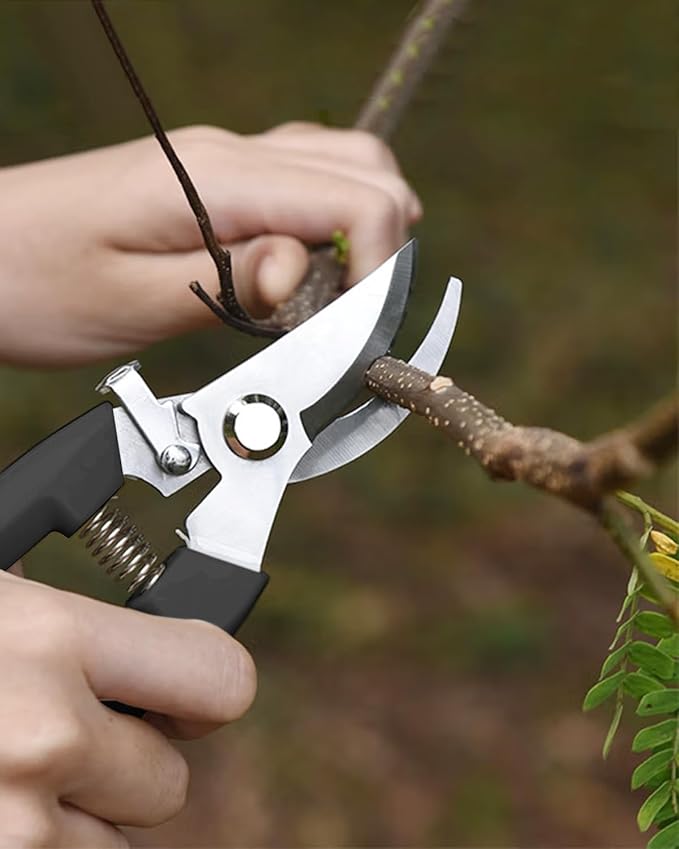Garden Scissor for Plant, 4 Pcs Floral Scissors, Tip Pruning Shears Bulk for Cutting Flowers, Bonsai, Fruits and Trimming Plants(Black)