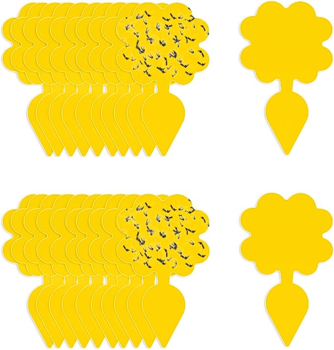 Fruit Fly Traps for Indoors Sticky, Gnat Traps for House Indoor Plants, Fungus Gnat Sticky Trap, 20pcs, Non-Toxic, Odorless, Harmless to Vegetables, Fruits, Plants
