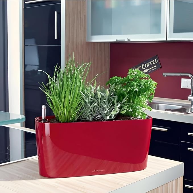 Lechuza Delta 10 Scarlet Red High Gloss, Self-Watering Planter Indoor, H5.1 L11.8 W4.3 in