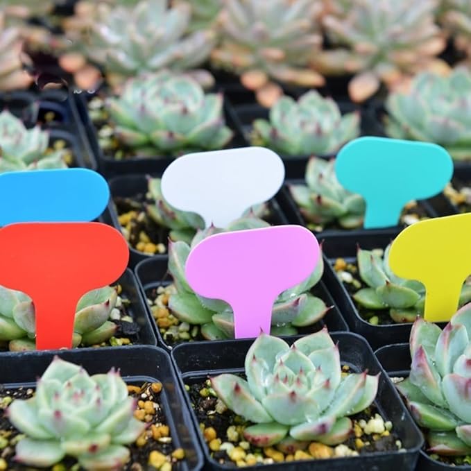50Pcs Orange Plant Tags Plastic T-Type Nursery Garden Labels Markers Plant Stakes Garden Decoration, Pots, Plant Labels, Plant Container Accessories