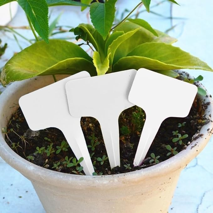 50Pcs Orange Plant Tags Plastic T-Type Nursery Garden Labels Markers Plant Stakes Garden Decoration, Pots, Plant Labels, Plant Container Accessories