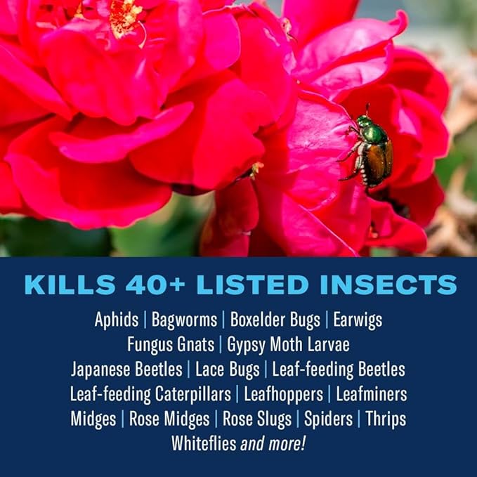 BioAdvanced Dual Action Rose and Flower Insect Killer, Continuous Spray, 15.7 oz