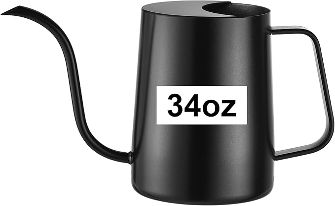 34 oz / 1000 ml Watering Can Indoor Plants, Stainless Steel Plant Watering Can with Long Spout (Black)
