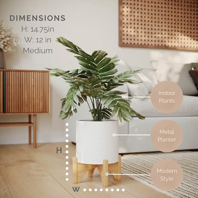 EverNest Claire Boho Modern White Planter with Arch Wood Stand, Indoor Mid-Century Plant Pot, SelectBase, Minimalist Planter Stand Home Décor (Medium, 2 Gallon)
