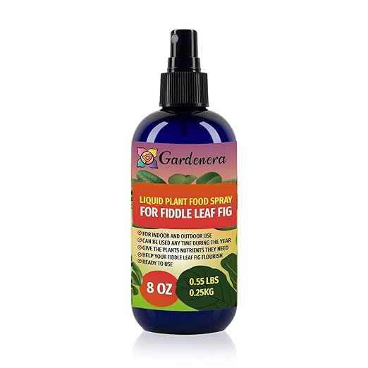 Gardenera Professional Fiddle Leaf FIG Superfood Spray Mist for Home Gardening | Micro-Fungi Enriched Fertilizer Mist for Healthy Leaves & Growth | 18 Vitamins & Minerals for Fiddle Leaf FIG - 8oz