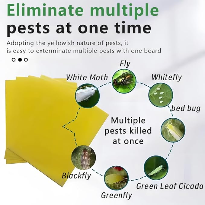Fruit Fly Trap, 40pcs Yellow Sticky Traps for Plant Gnats, Two-Sided Insect Control, Fruit Fly Killer Indoor and Outdoor Protect The Plant