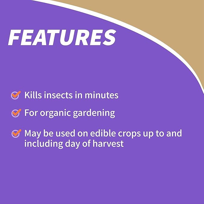 Bonide Insecticidal Soap, 32 oz Ready-to-Use Spray Multi-Purpose Insect Control for Organic Gardening Indoor and Outdoor- Pack of 2