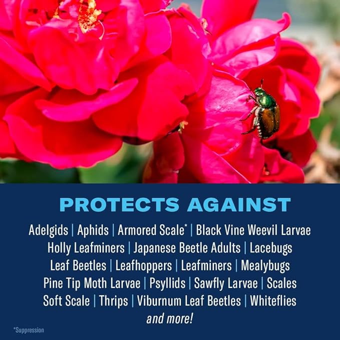 BioAdvanced 701100A 2 In 1 Rose Fertilizer and Flower Care Systemic Granules II Insect Killer, 5-Pound, Systemic Insecticide